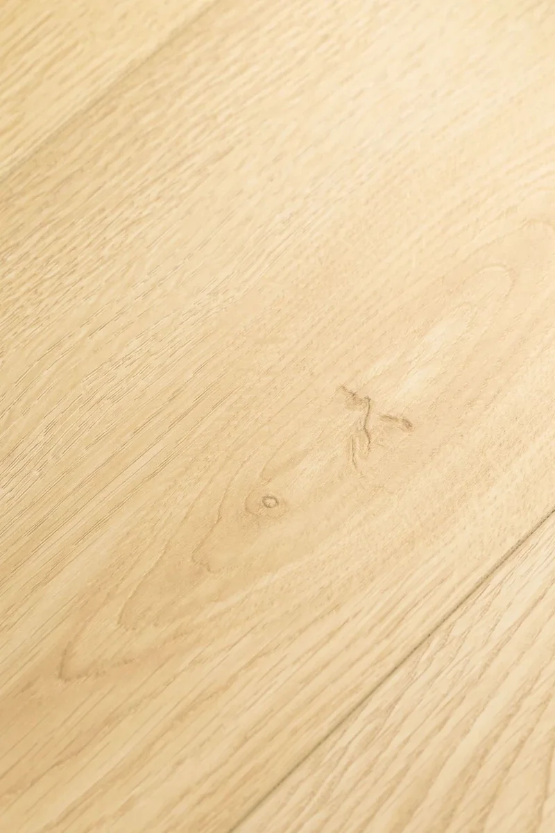 Ламинат FirstFloor Черный Бархат Дуб Зефир 1F417 1520×196×8