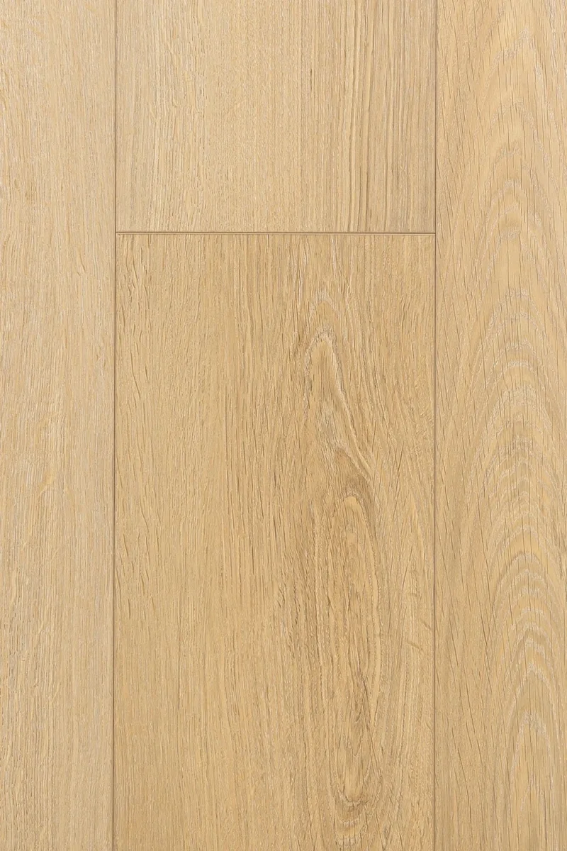 Ламинат FirstFloor Черный Бархат Дуб Ойкос 1F412 1520×196×8