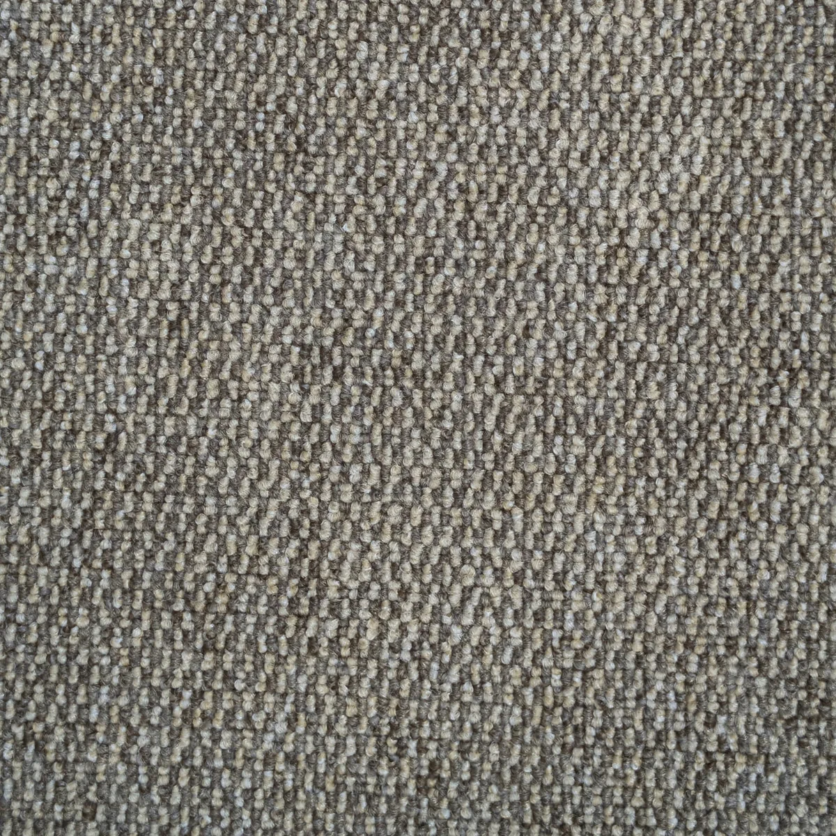 Ковролин Bonkeel Паскаль цвет Beige 1000×4000×5