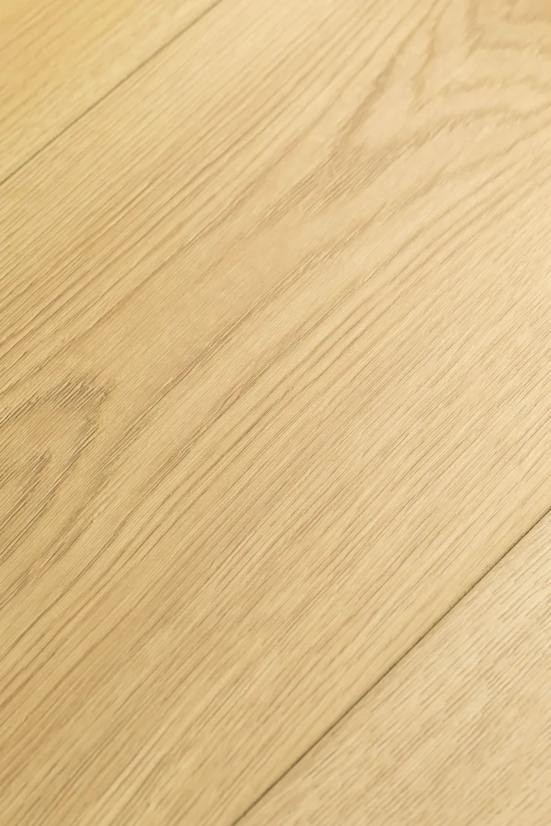 Ламинат FirstFloor Черный Шарм Дуб Калибра 1F401 1220×196×8